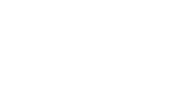 Fordson Logo