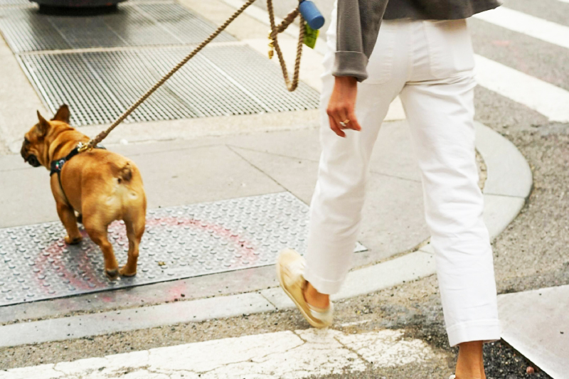 Woman walking dog to Fordson Hotel